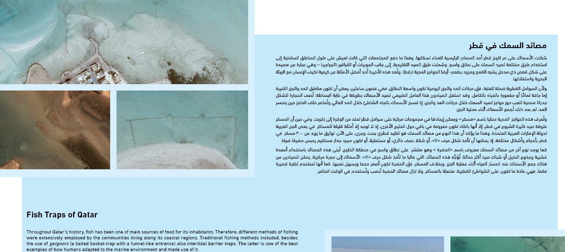 مصائد السمك في قطر